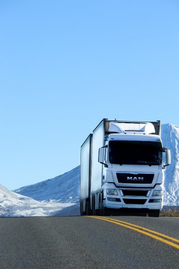 One Day Express 35 - photo de camion marque MAN